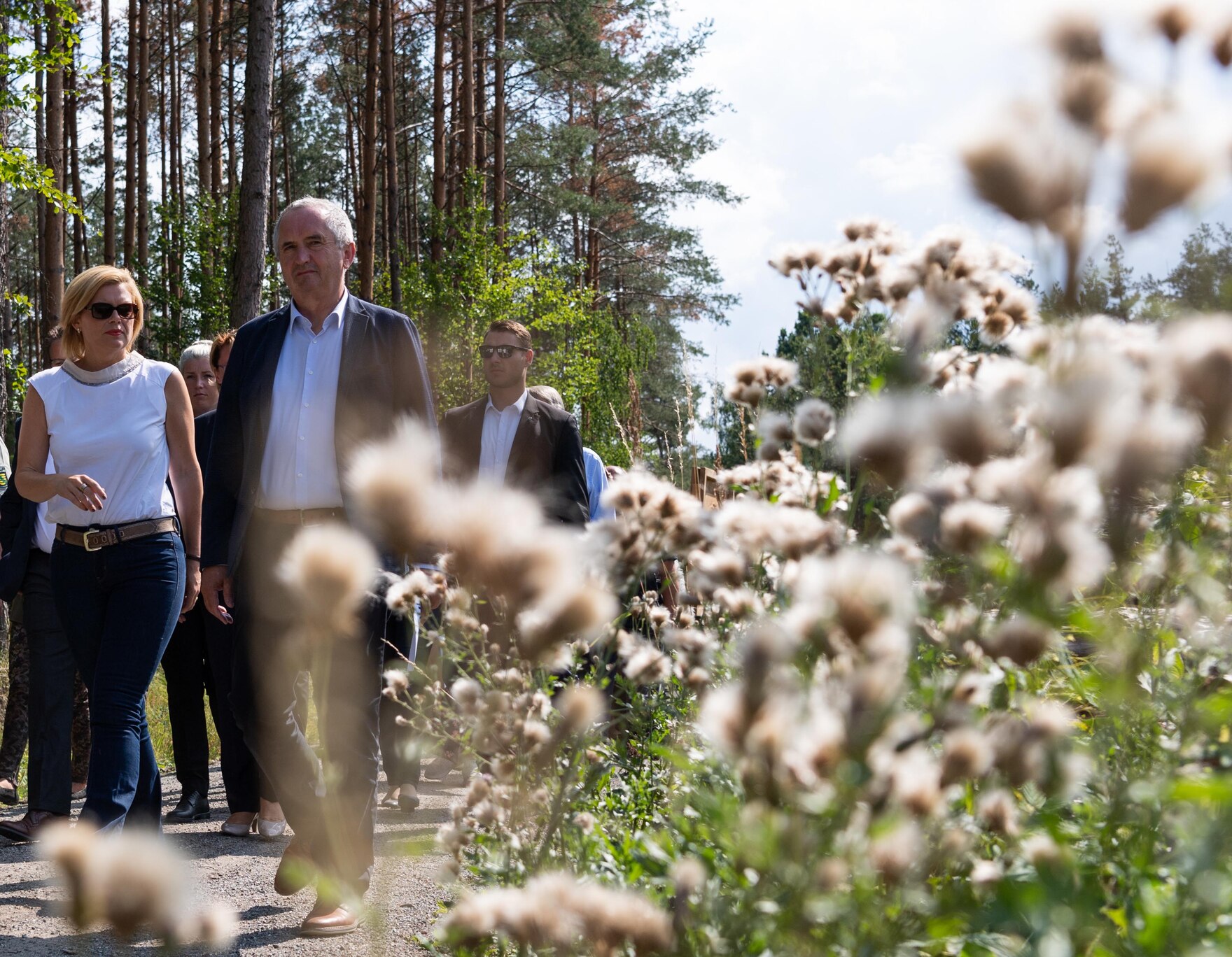 Ein Mann und eine Frau gehen durch einen Wald.